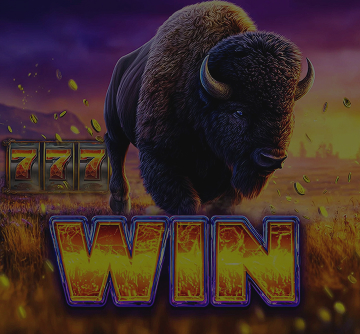 Buffalo King Megaways